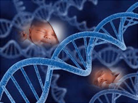 BABY DNA