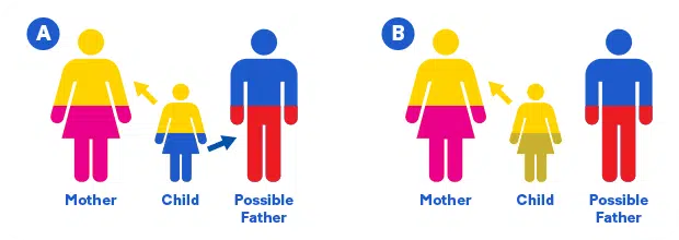 paternity-test-graphic